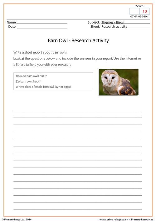 Research Activity - Barn Owl