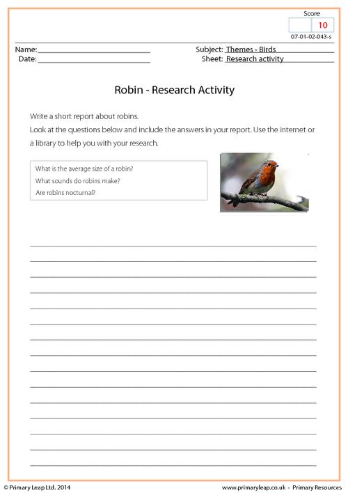 Research Activity - Robin