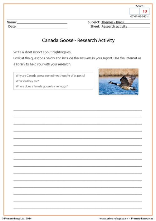 Research Activity - Canada Goose