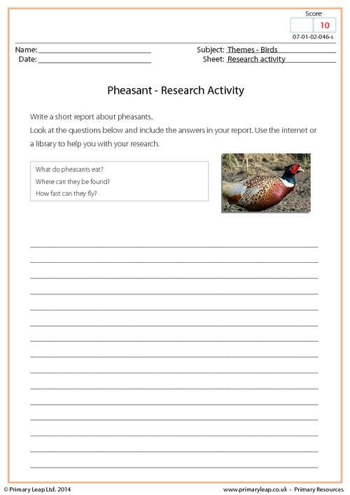 Research Activity - Pheasants