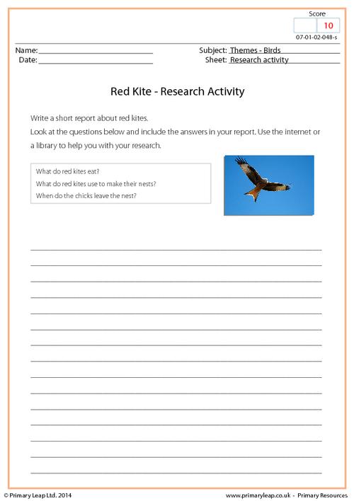 Research Activity - Red Kite