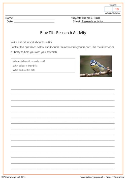 Research Activity - Blue Tit