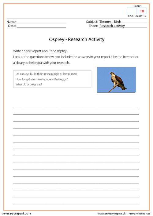 Research Activity - Osprey