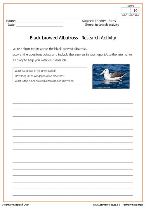 Research Activity - Black-browed Albatross