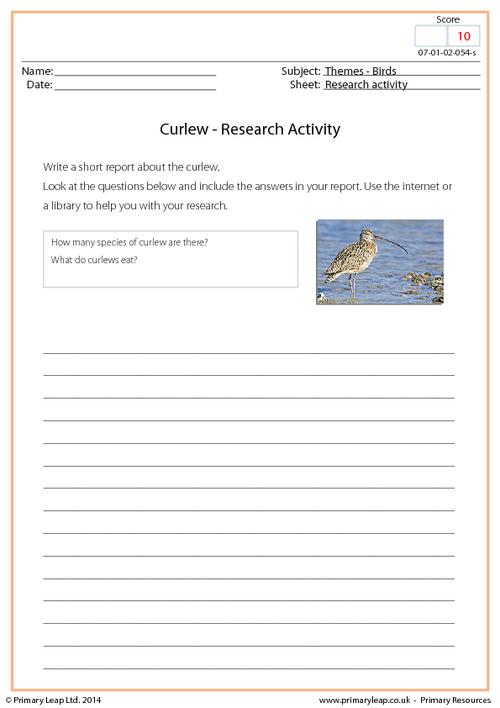 Research Activity - Curlew