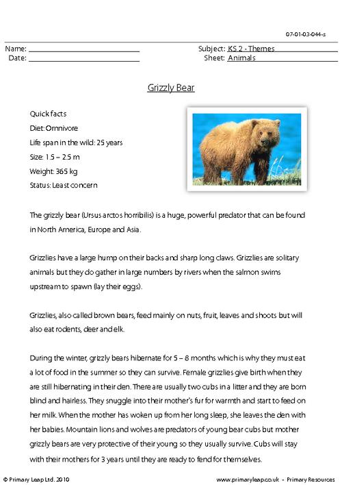Grizzly bear comprehension
