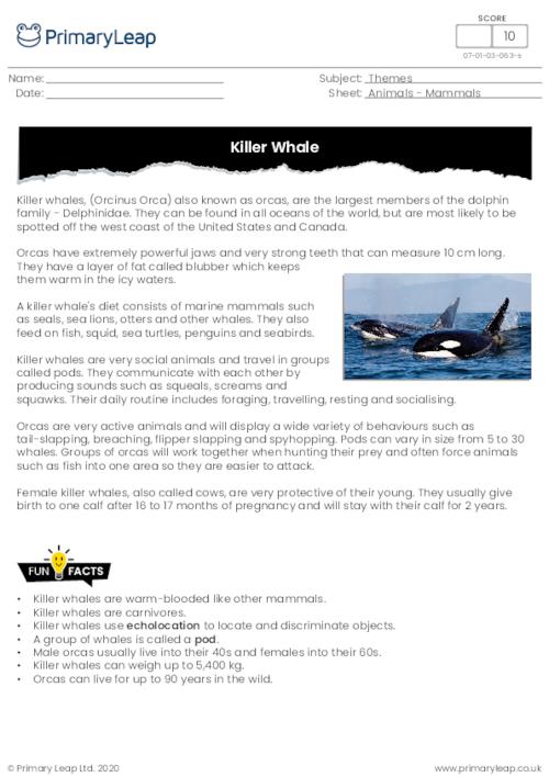 Killer whale comprehension