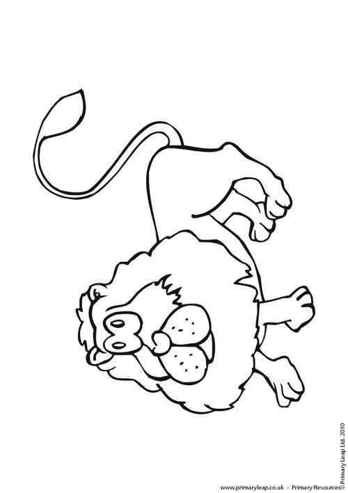 Lion colouring page 1