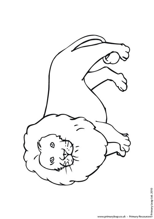 Lion colouring page 2