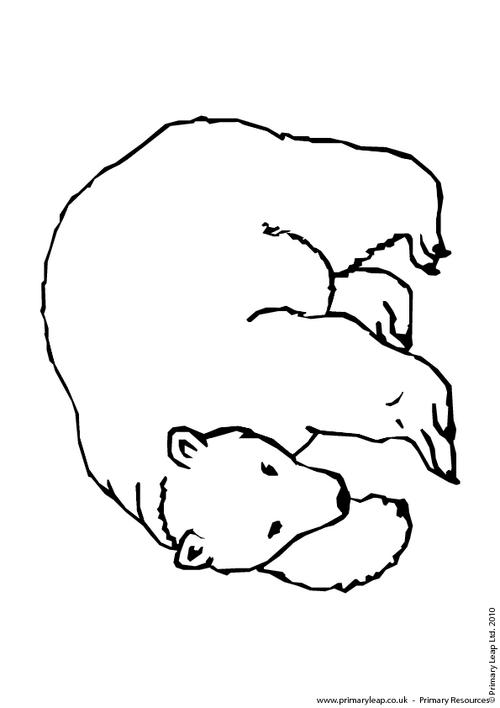 Polar bear colouring page 2