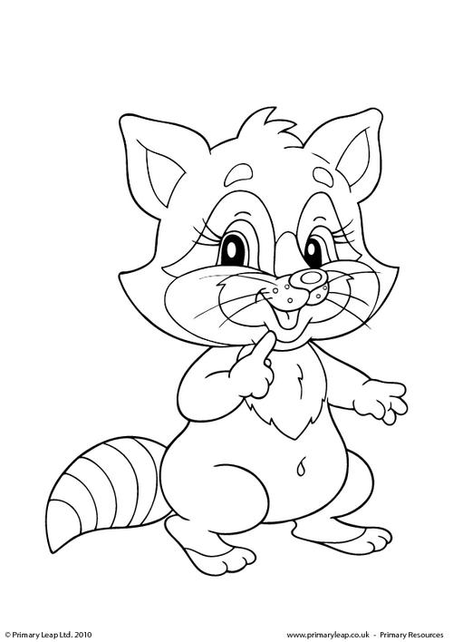 Raccoon colouring page 3