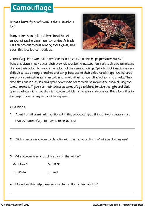 Literacy: Camouflage Reading comprehension | Worksheet 