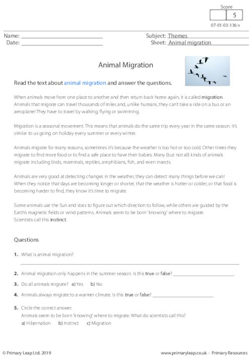 Reading comprehension - Animal Migration