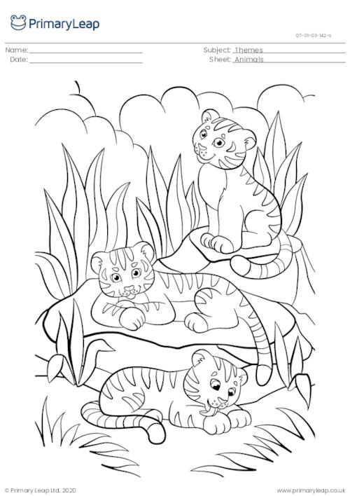 Colouring page - Tiger cubs