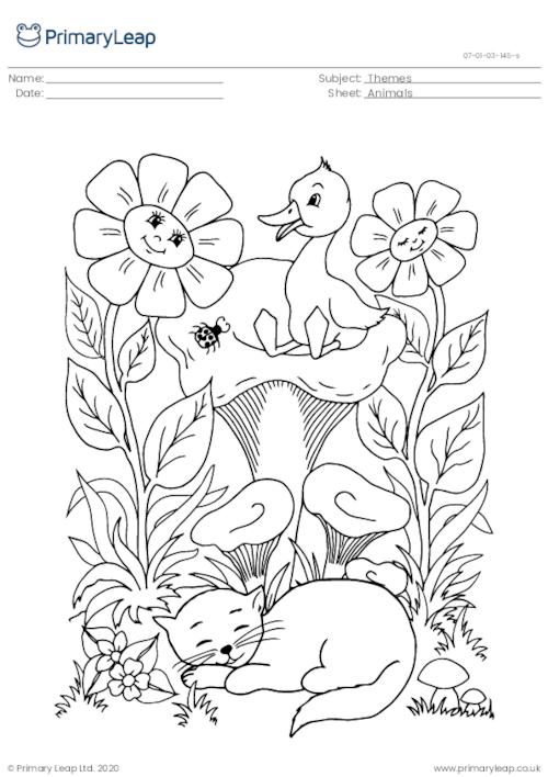 Colouring Page - The Kitten and the Duckling