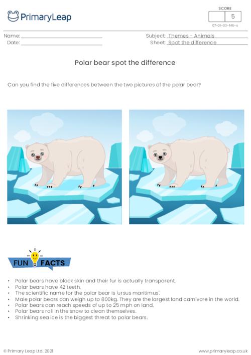 Polar bear spot the difference