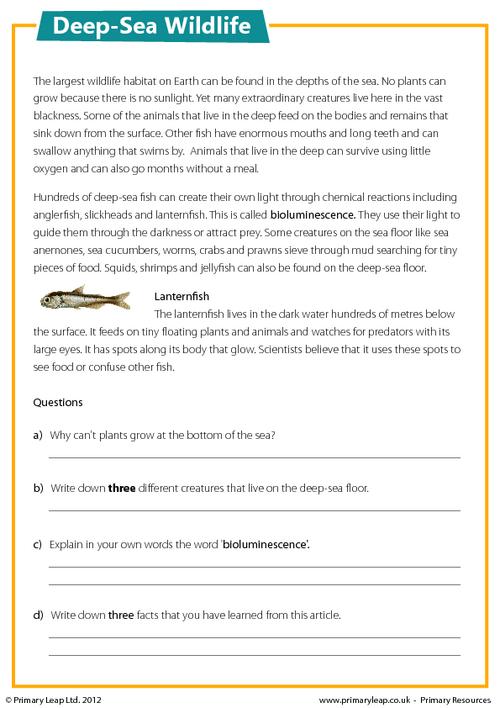 Reading comprehension - Deep-sea wildlife