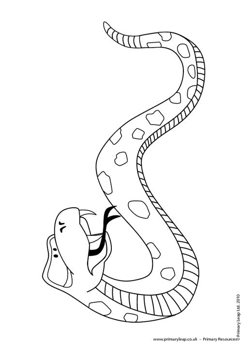Rattlesnake colouring page