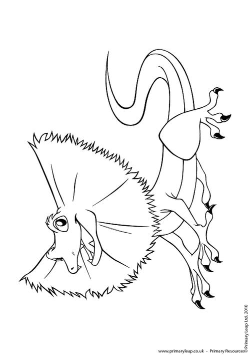 Frilled lizard colouring page