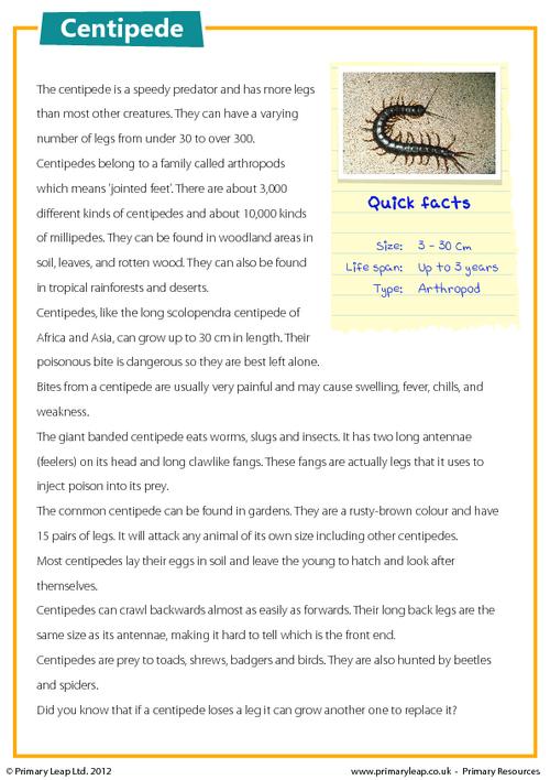 Centipede - Comprehension