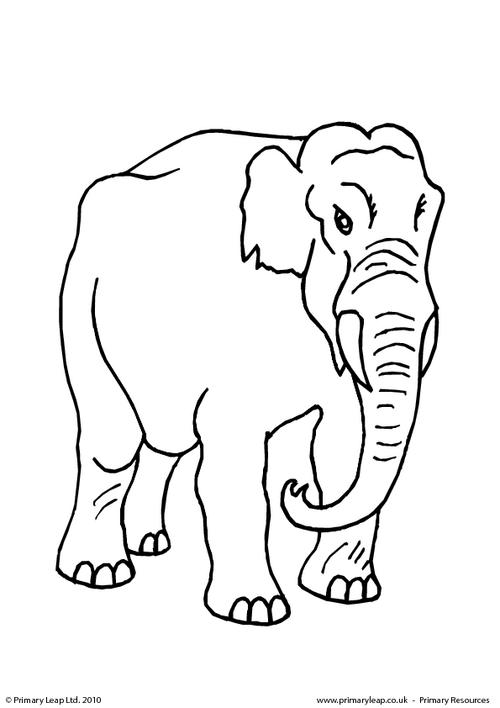 Elephant colouring page 1