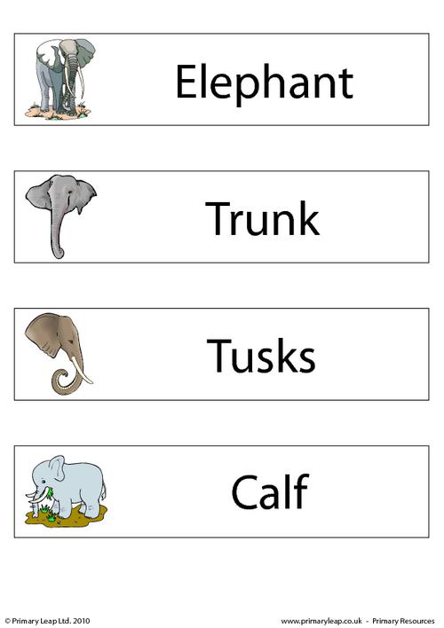 Elephant flashcard - set of 4