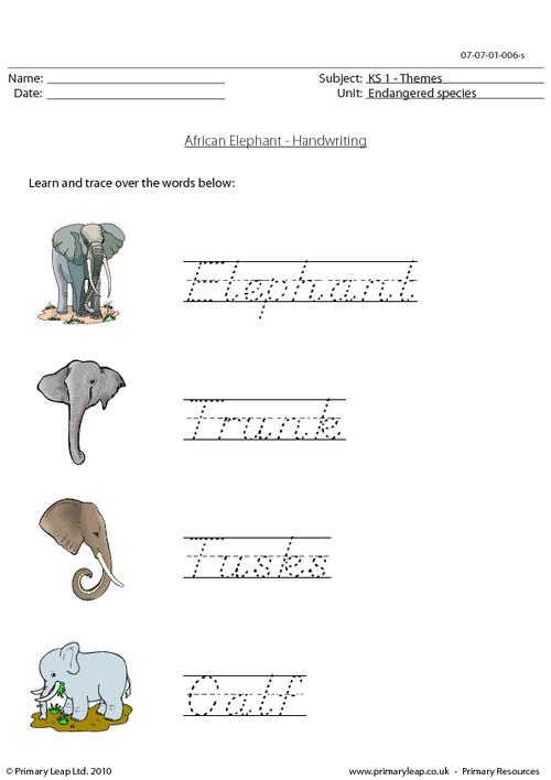Elephant handwriting