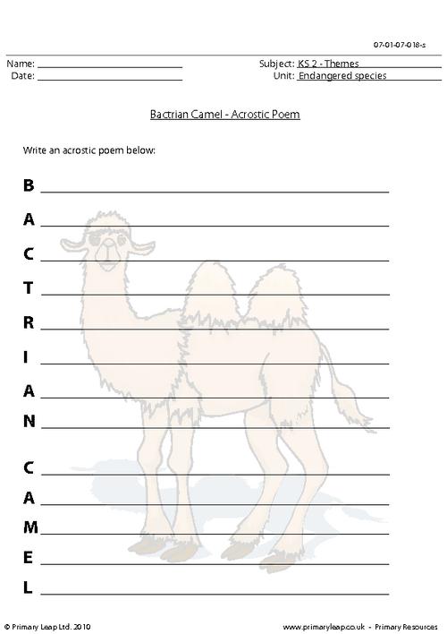 Bactrian camel acrostic poem