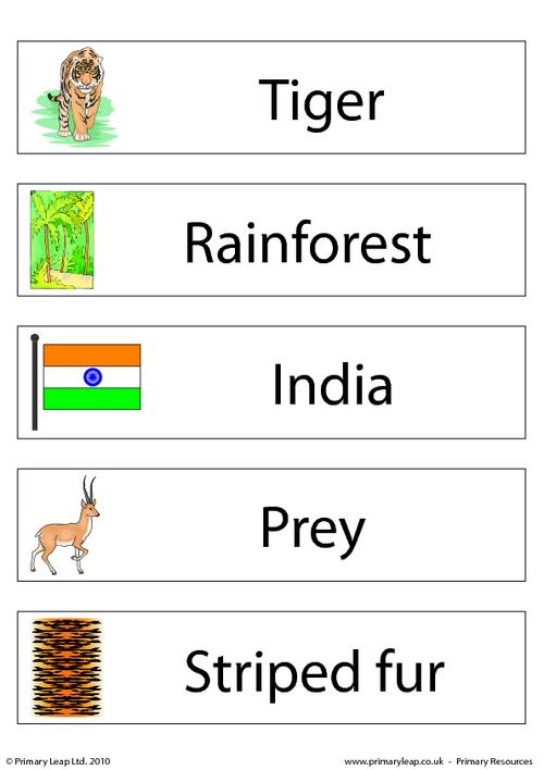 Bengal tiger flashcard - set of 5