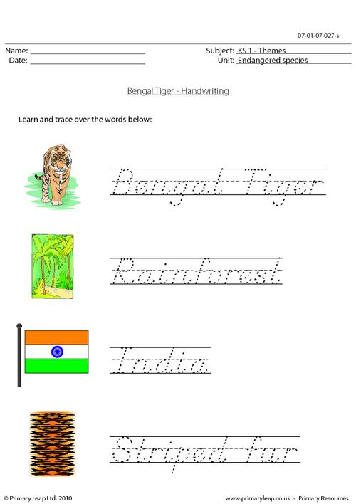 Bengal tiger handwriting