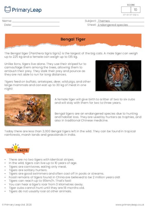 Bengal tiger comprehension