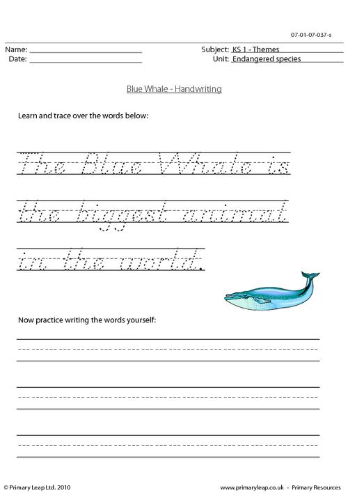 Blue whale handwriting