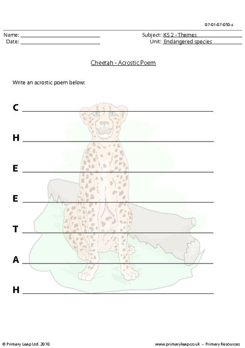 Cheetah acrostic poem