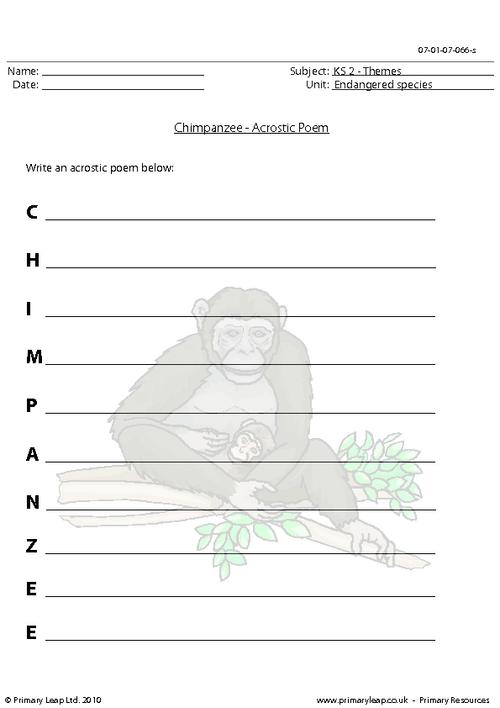 Chimpanzee acrostic poem