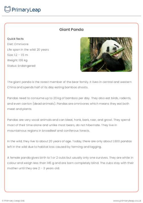 Giant Panda Reading Comprehension