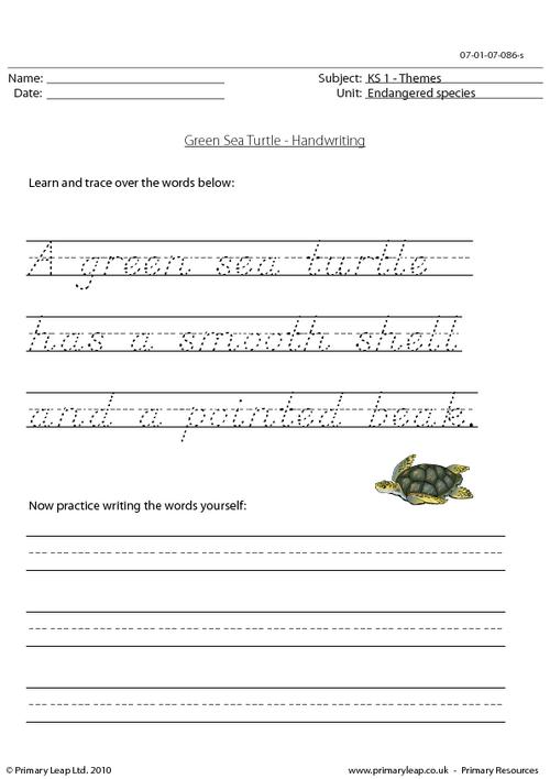 Green sea turtle handwriting