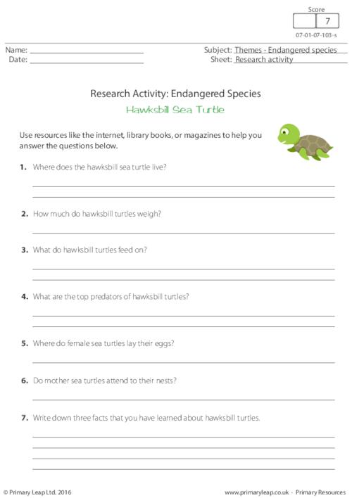 Research Activity - Hawksbill Sea Turtles