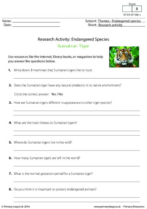 Research Activity - Sumatran Tiger