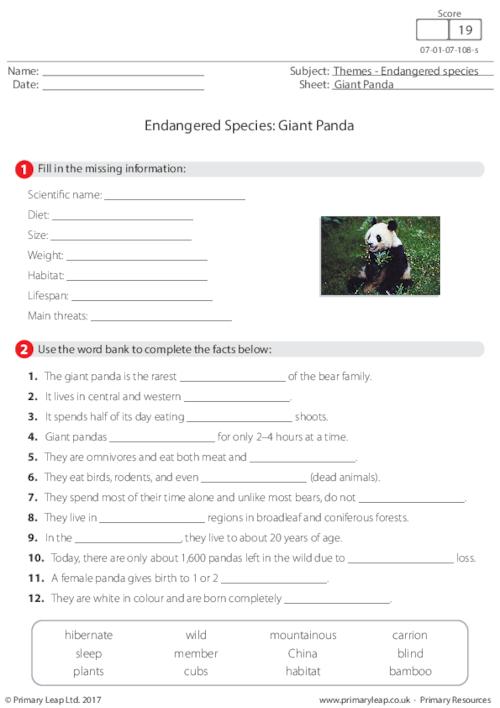 Endangered Species - Giant Panda