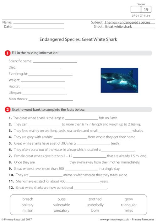 Endangered Species - Great White Shark