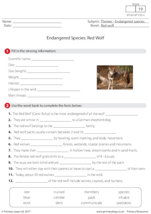 Endangered Species - Red Wolf