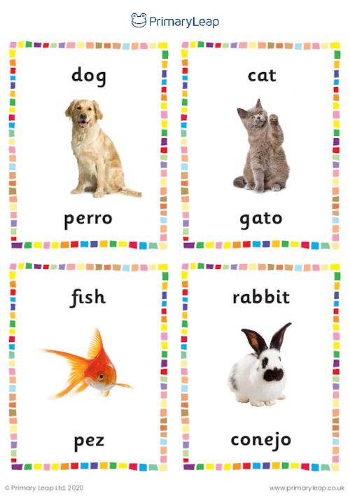 Spanish: English to Spanish flashcards Animals | Worksheet |  