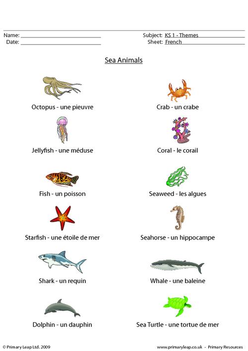 French: French sea animals | Worksheet 