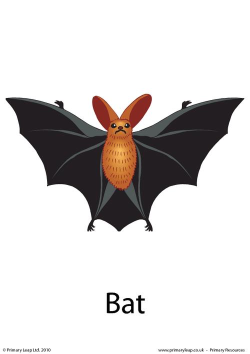 Halloween flashcard - bat