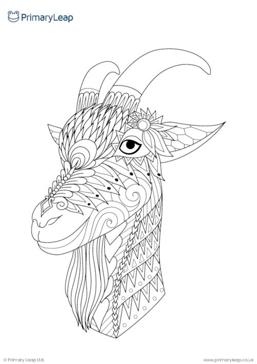 Goat colouring page