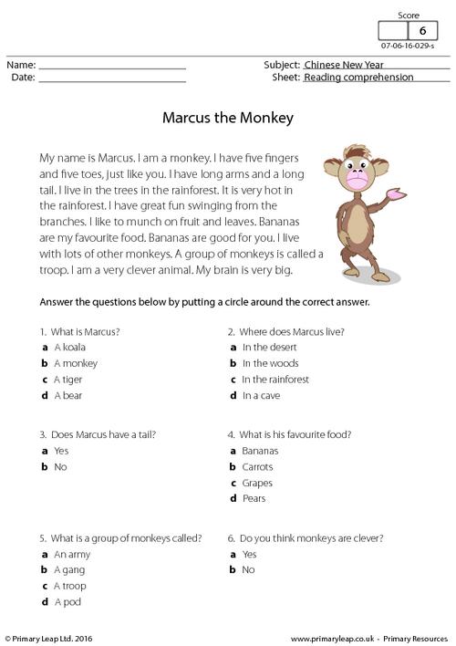 Reading Comprehension - Marcus the Monkey