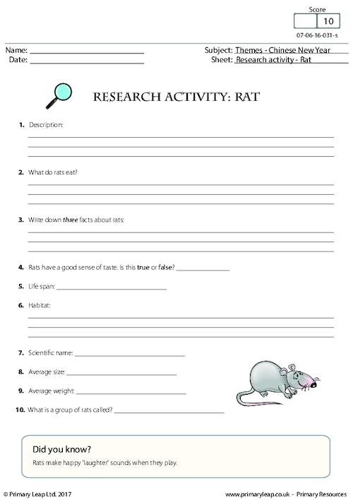 Research Activity - Rat