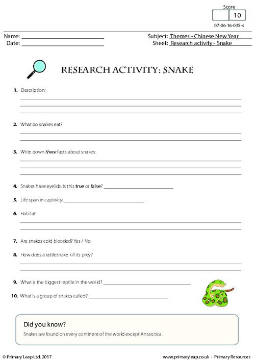 Research Activity - Snake