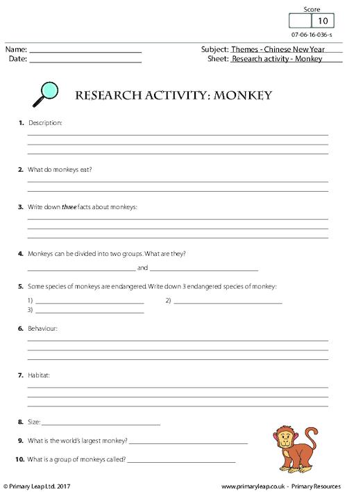 Research Activity - Monkey