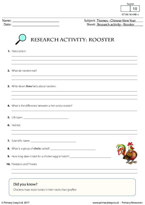 Research Activity - Rooster